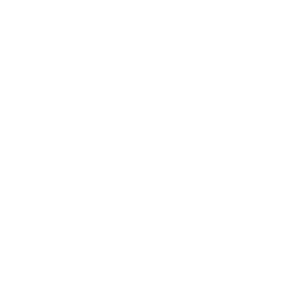 Icon: Weisser Kalender